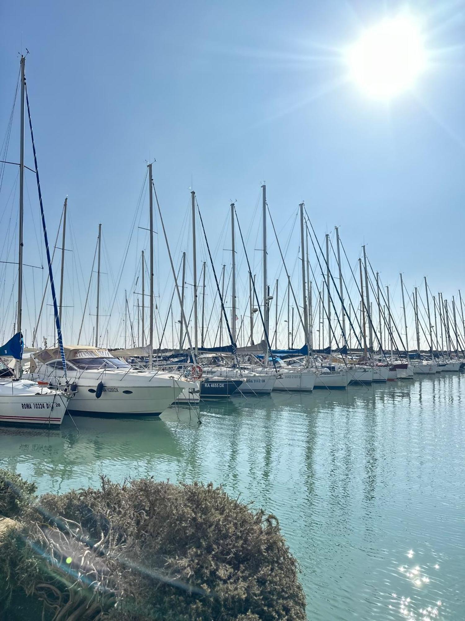 Penthouse Salus Sea View Terrace Apartment Lido di Ostia Ngoại thất bức ảnh
