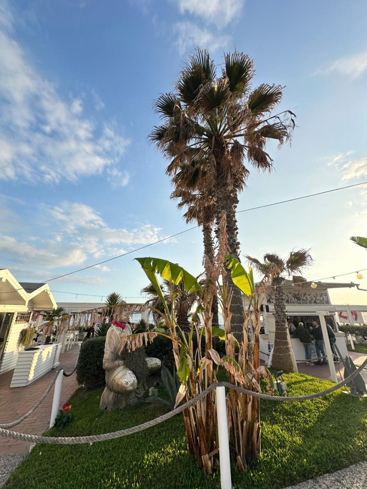 Penthouse Salus Sea View Terrace Apartment Lido di Ostia Ngoại thất bức ảnh